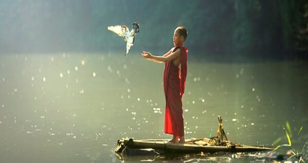 Những điều cần tránh khi phóng sinh