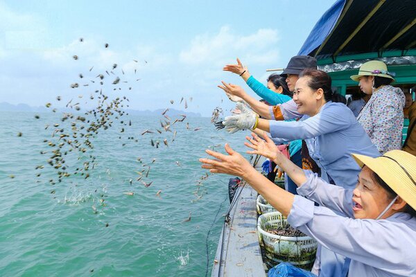 phóng sinh như thế nào cho đúng