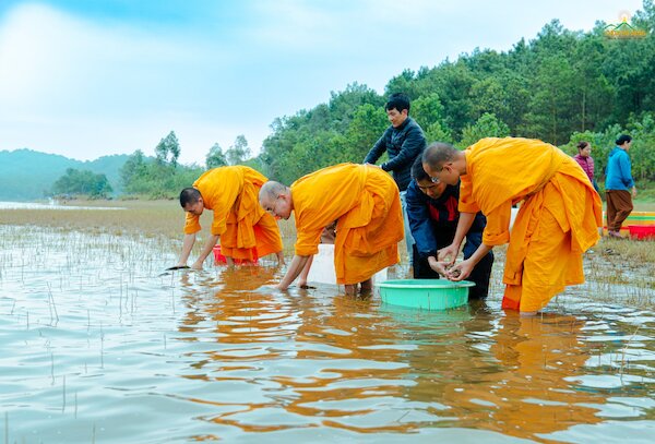 Phóng sinh như thế nào cho đúng?